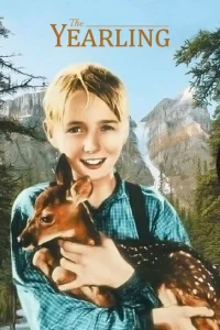 Yas ağaçlarinin bal arasındadir