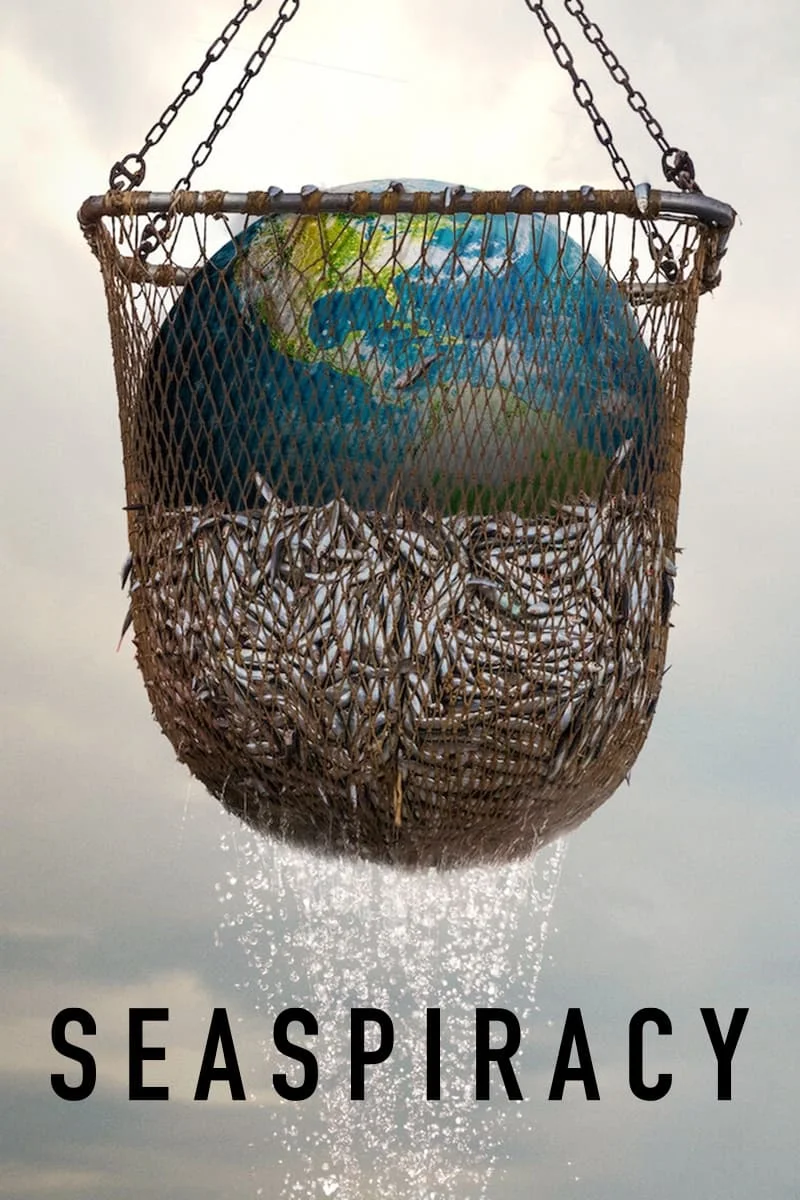 سِپِیسِیِرسی