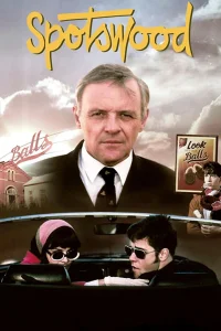 اسپاتسوود