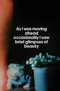 As I Was Moving Ahead, Occasionally I Saw Brief Glimpses of Beauty - Poster