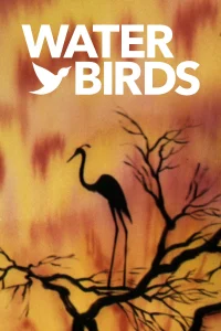Water Birds - Poster