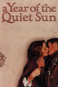 A Year of the Quiet Sun - Poster