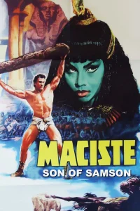 پسر سامسون - Poster