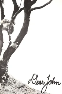 Dear John - Poster