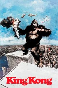 Kong