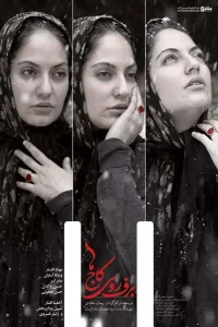الثلج على الجبال الصنوبرية