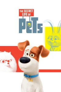 Köpeklerin Gizli Hayati