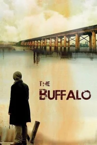 Bufalo