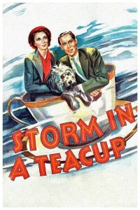 Storm in a Teacup - Poster