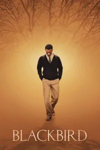 پرنده سیاه