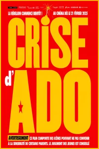 Crise d'ado - Poster