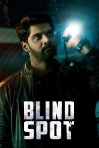 Blind Spot - Poster