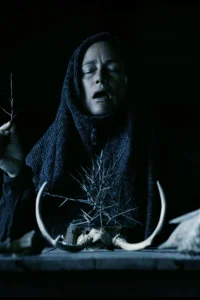 Mother of Flies - Poster