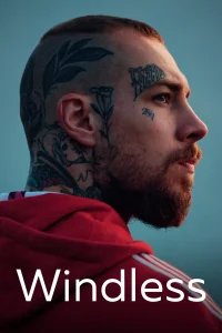 بدون باد - Poster