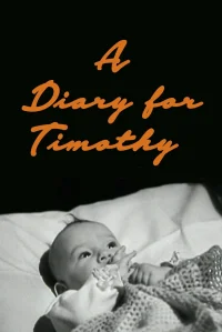 Diary برای تیموتی