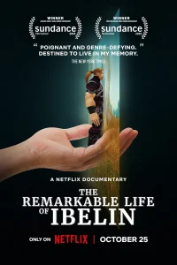 The Remarkable Life of Ibelin - Poster