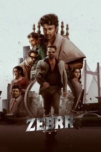 Zebra - Poster