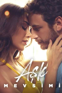 Aşkın Mevsimi - Poster