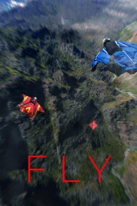 Fly - Poster