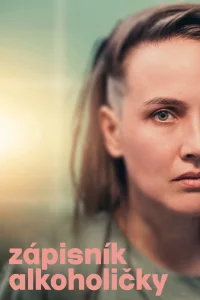 Bir Alkol Alıcının Günlüğü - Poster
