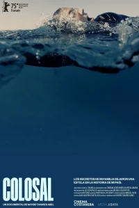 كولسول