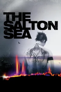 Salton Gazi