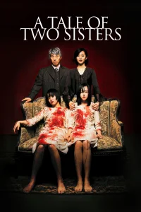 A Tale of Two Sisters - Poster