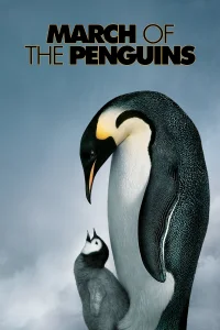 راهپیمایی پنگوئن ها