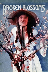 شکوفه‌های شکسته - Poster