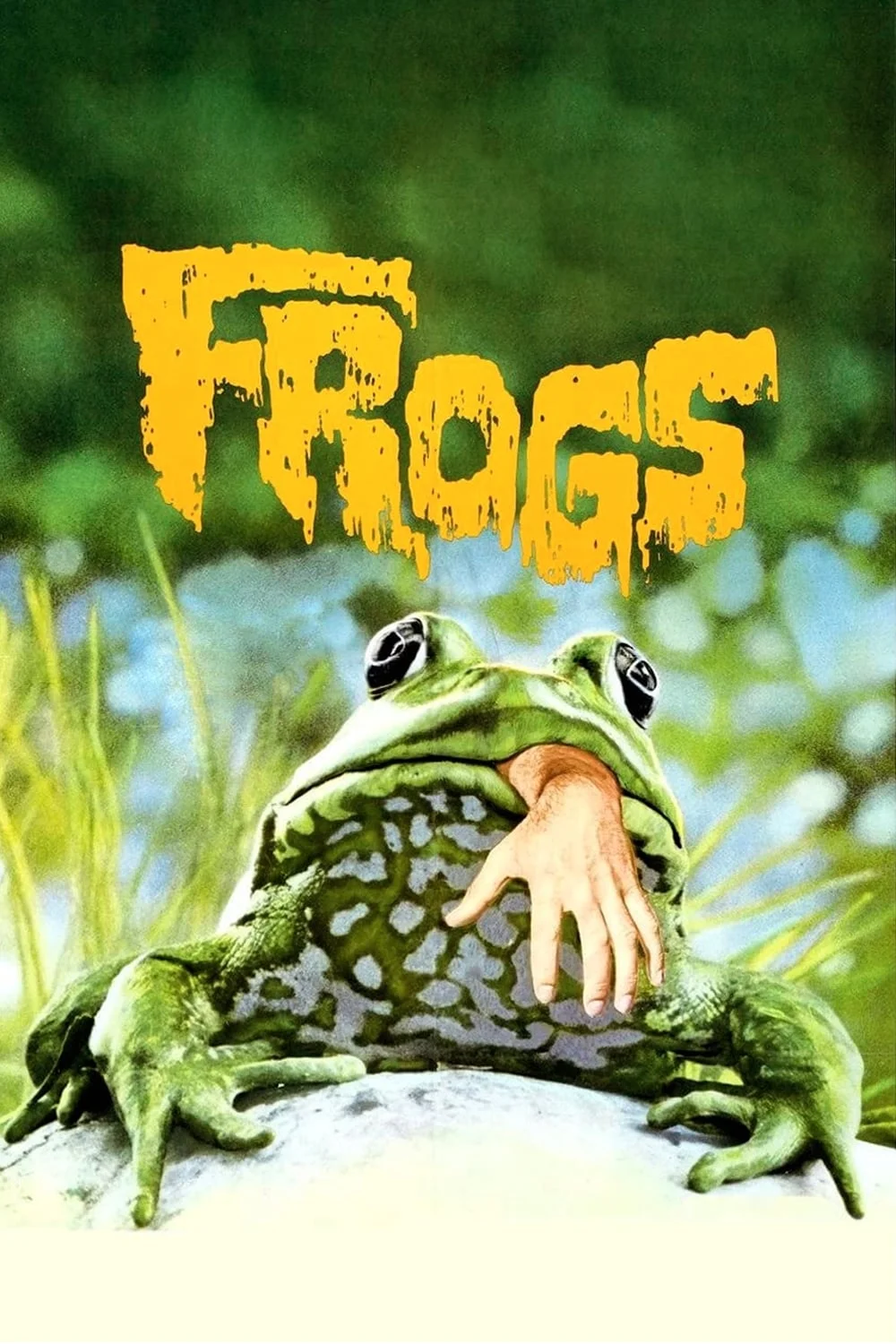 Fروگز