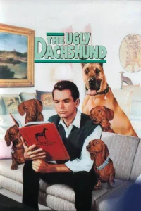 Çirkin Dachshundu