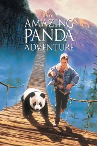 Muhteşem Panda Macerası