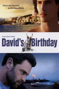 David's Birthday - Poster