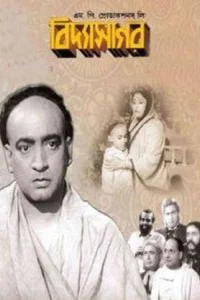 ویدیاساگر
