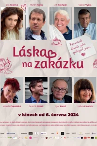 Láska na zakázku - Poster
