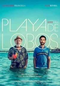 Playa de lobos