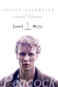 طاووس - Poster