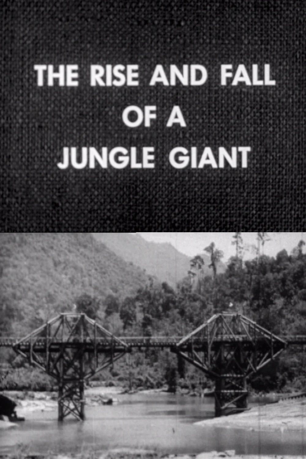 صعود و سقوط یک غول جنگل