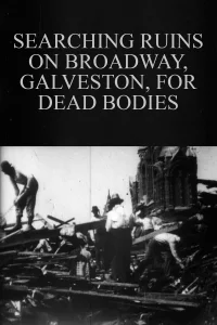Searching Ruins on Broadway, Galveston, for Dead Bodies - Poster