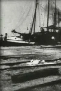Bird's-Eye View of Dock Front, Galveston - Poster