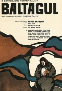 تبر