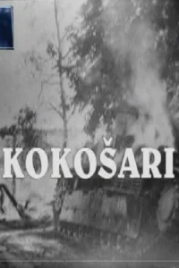 دزدان مرغ