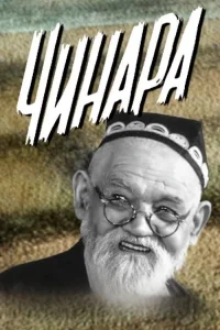درخت چنار قدیمی