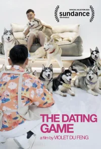 The Dating Game - Poster