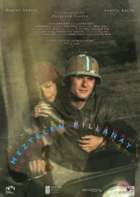 Our Tender Moment - Poster
