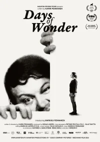 روزهای شگفتی - Poster