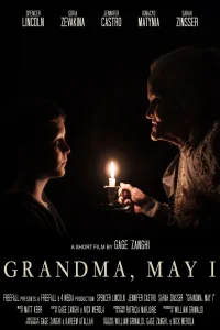 مادربزرگ، آیا می‌توانم - Poster