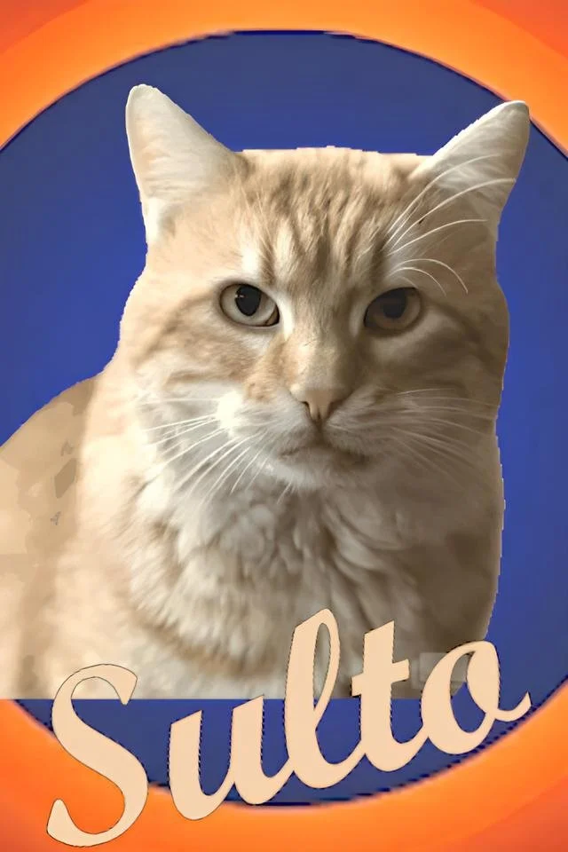 سلطو