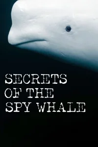 Secrets of the Spy Whale - Poster