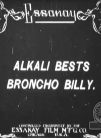Alkali Ike Bests Broncho Billy - Poster